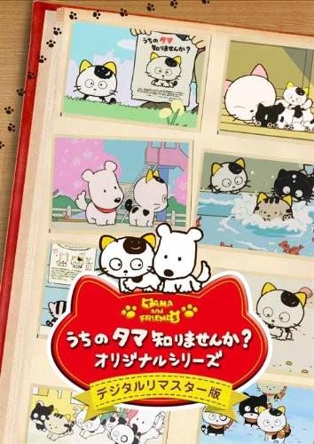 猫狗宠物街