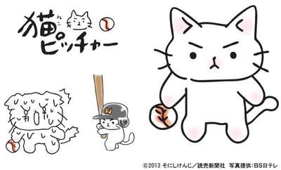 猫投手