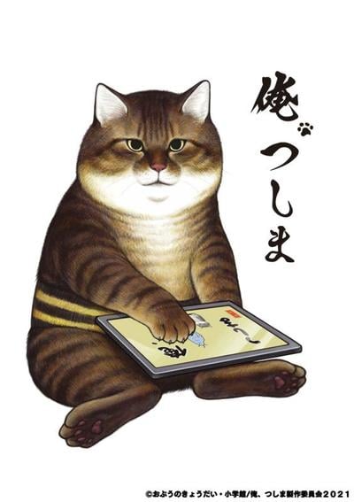我，小怼