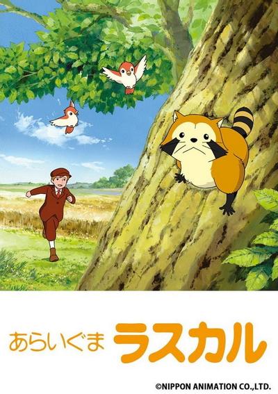 小浣熊