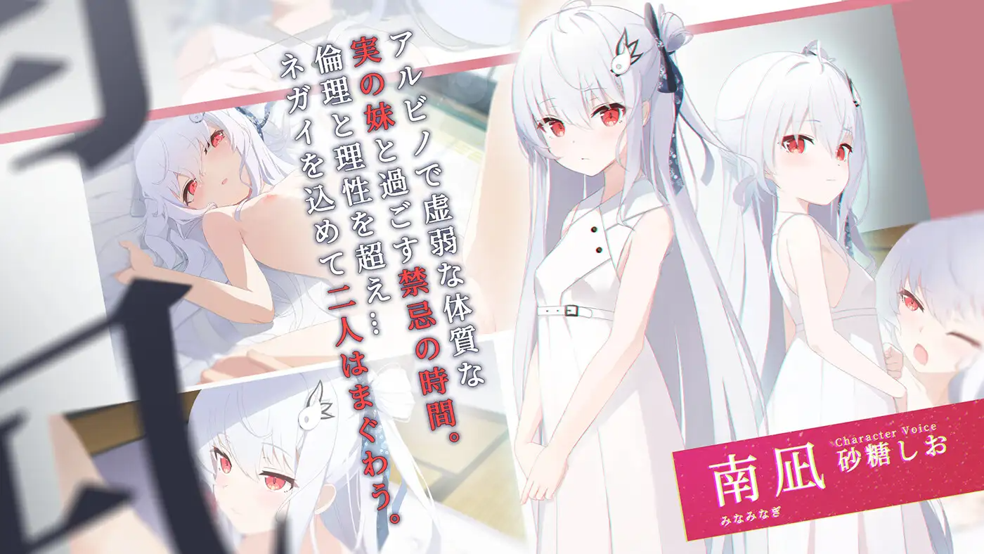 日式/ADV/更新丨只愿 カタネガイ Ver1.03 精翻汉化版 【20260203】 游戏截图 2