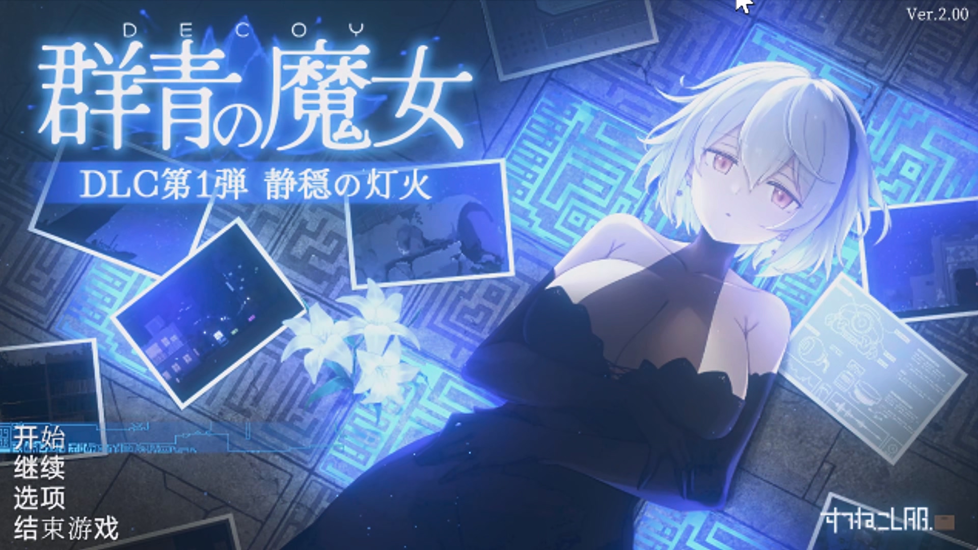 像素动态/精品ACT/汉化丨DECOY 群青的魔女 沉静的灯火v2.01+DLC汉化(ds-v4-pro)+存档 DECOY 群青の魔女·v2.01+DLC【20260506】 游戏截图 6