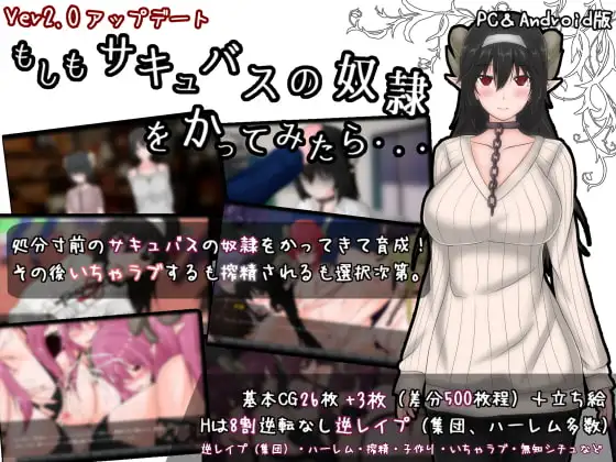日式RPG/新汉化/双端丨如果试着买下魅魔奴隶 もしもサキュバスの奴○をかってみたら Ver2.2 【20260619】 游戏截图 7