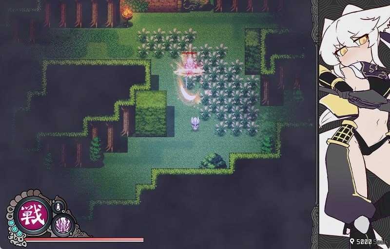 [ARPG] 孤影之狼/Wolf of Shadow/隻影の狼/官中【20260716】 游戏截图 4