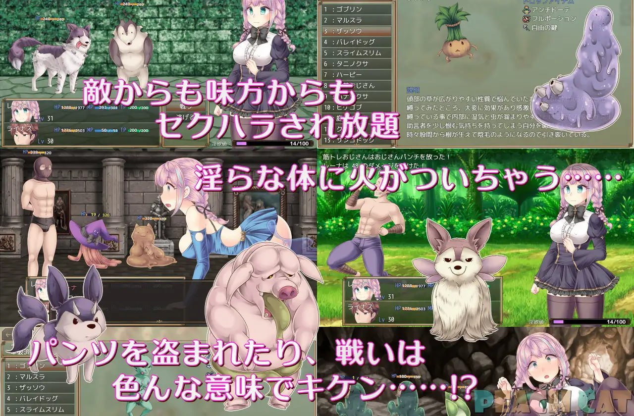 [RPG汉化PC巨乳NTRS]连续高潮 Sister Maiden 連続絶頂 Sister Maiden v1.0.0【20260801】 游戏截图 8
