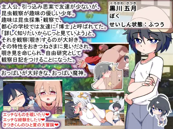 SLG/汉化/AI汉化丨 狐狸大人与正太的夏日日记 おきつねさまとおねショタ夏日記W――ダブルお姉ちゃんとひみつののぞき穴 ver1.01 【20250603】 游戏截图 5