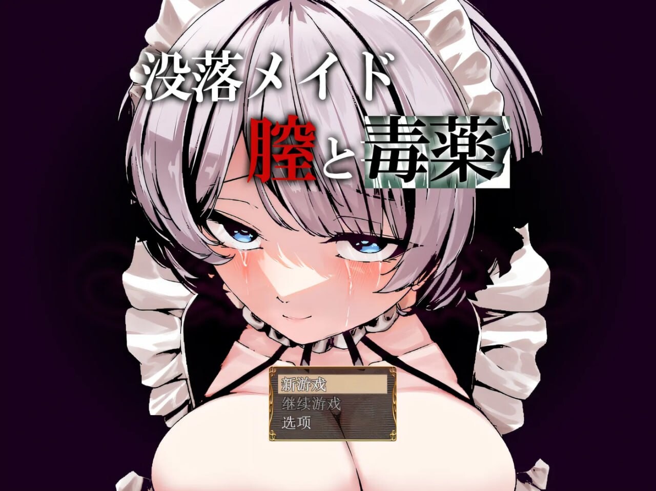 RPG汉化丨堕落女仆阴道与毒药/没落メイド膣と毒薬 【20250805】 游戏截图 2