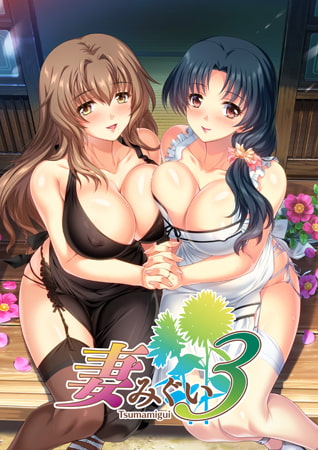 日式ADV/新汉化丨( Alicesoft) 妻中蜜3 妻みぐい3 v0.801 润色汉化版+攻略+全CG存档 【20250907】 游戏截图 8