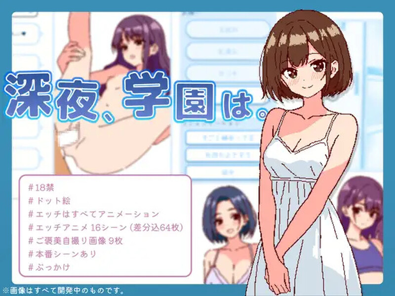 互动SLG/生肉/巨乳/像素/动态/中出/200MB丨深夜，学校。/深夜、学園は。 Ver1.0【20241102】 游戏截图 3