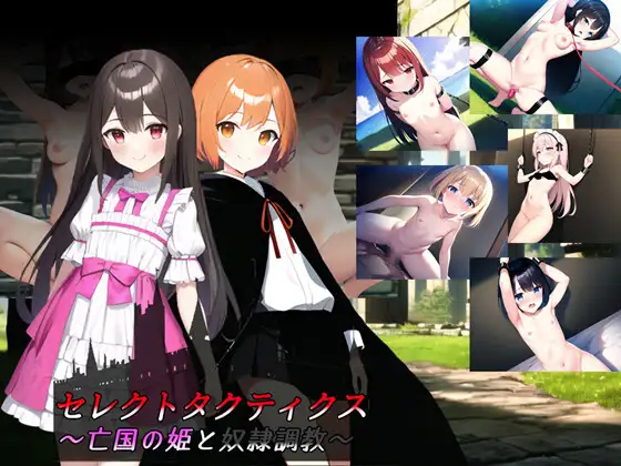SRPG/机翻丨セレクトタクティクス ～亡国の姫と奴隷調教～ Ver1.04【20240211】 游戏截图 1