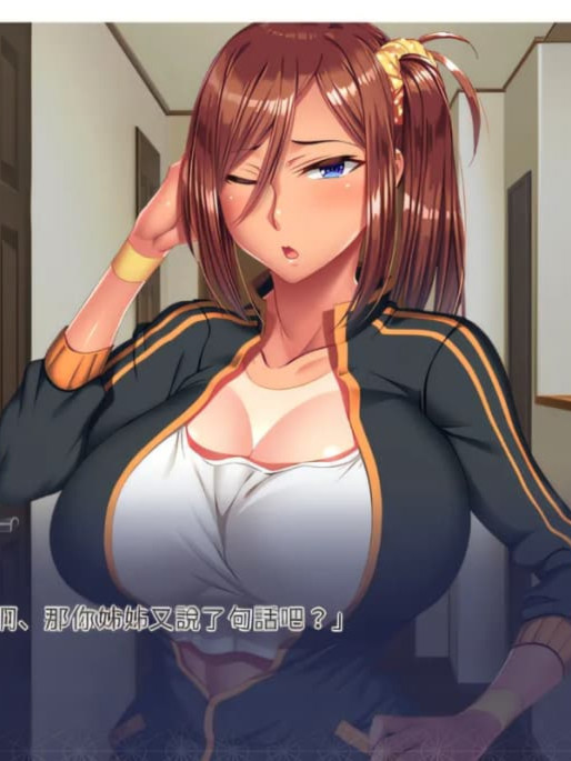 日式ADV大作丨姐姐Z催眠 + DLC Episode Makoto  官方中文版 【20241202】