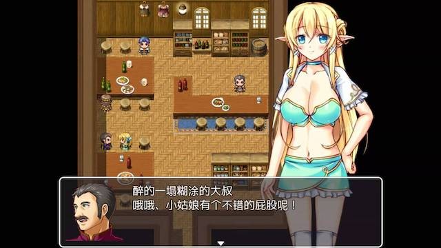 巨乳精灵淫乱日记 游戏截图 1