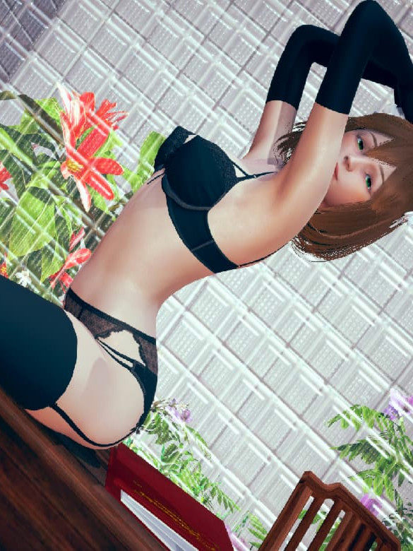 欧美SLG/汉化/动态丨女仆与重制大师/Maids & Re-Masters 1.0汉化版【20250404】_1