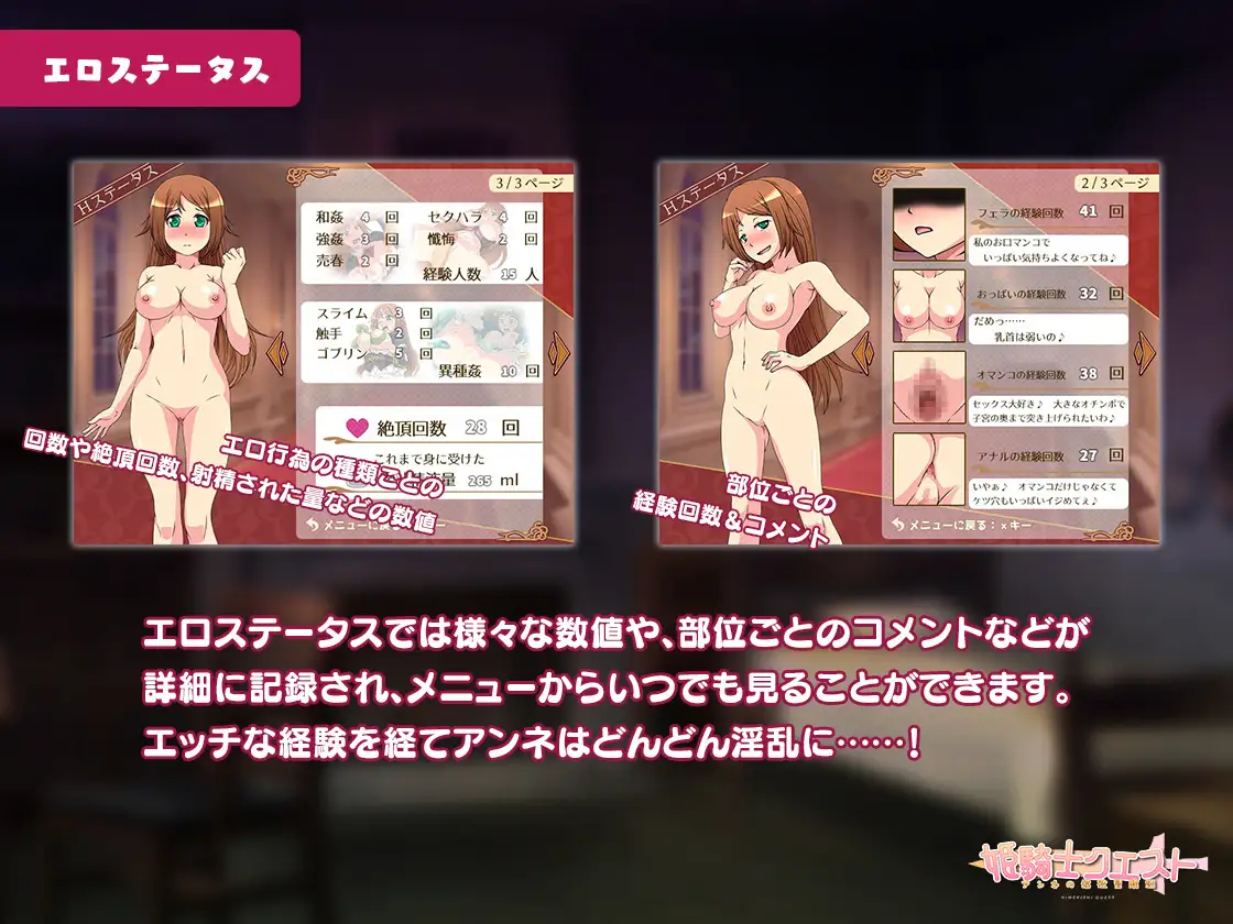 姫騎士クエスト～アンネの淫欲冒険記【PC0901】 游戏截图 1