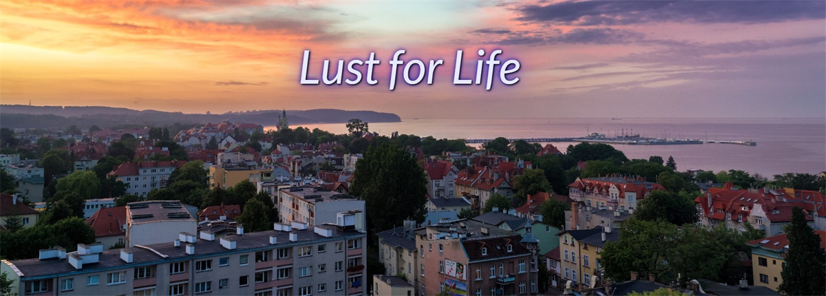 生命之欲：与母女的同居生活（Lust for Life）v0.01 精翻汉化 游戏截图 4