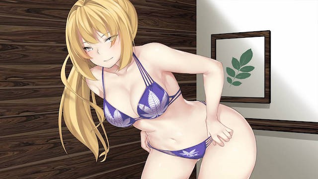 夏天的日子 游戏截图 6