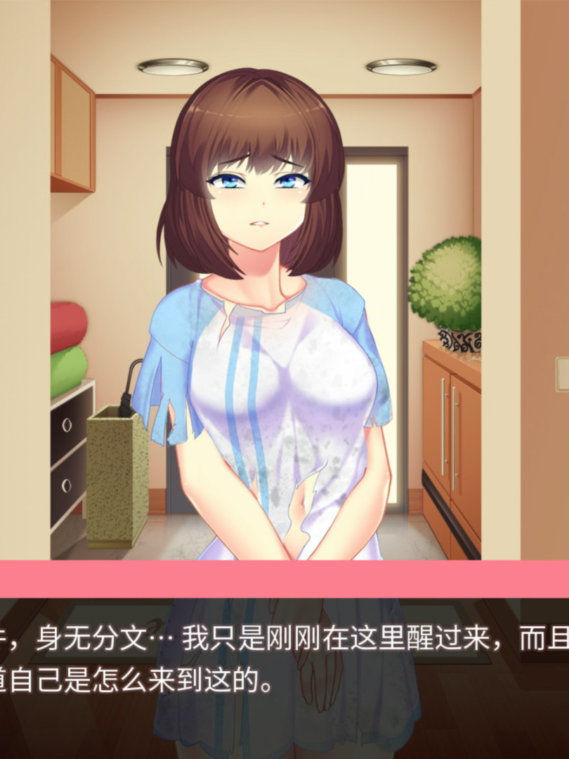 她的新回忆 无尽模拟器 V1.0.998 1.0.1 STEAM正式版+新DLC+集成作弊控制台 【20230405】