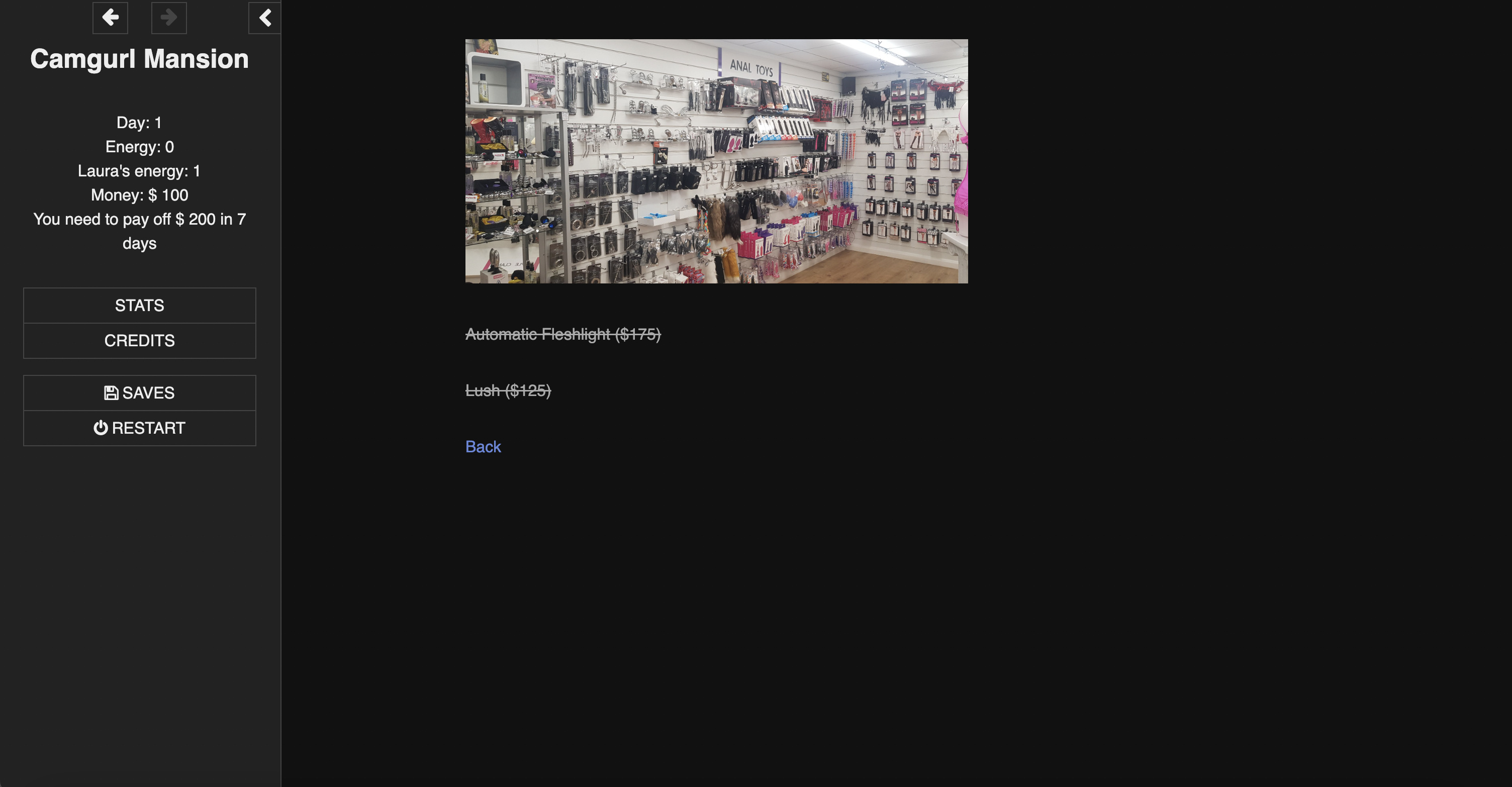 现实真人HTML浏览器汉化丨 甘古尔大厦 Camgurl Mansion v1.0 【20230706】 游戏截图 3