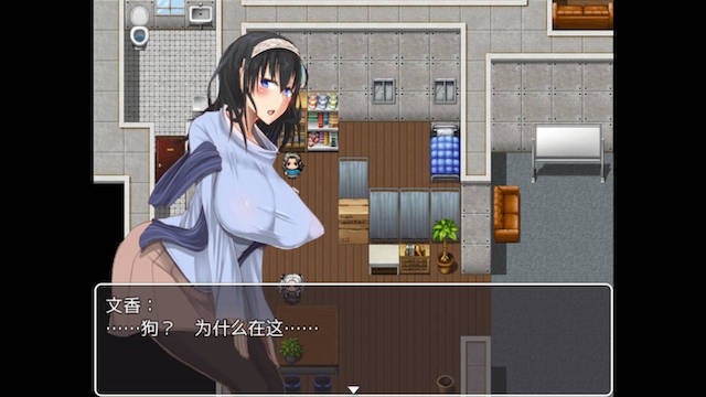 美女偶像们与狗 游戏截图 1