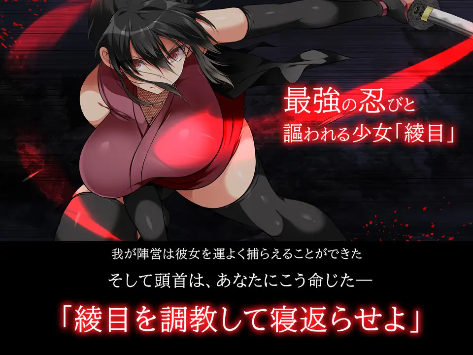 SLG/STEAM官中/步兵/新作丨忍堕-女忍调教 全回想12G【20231220】 游戏截图 8