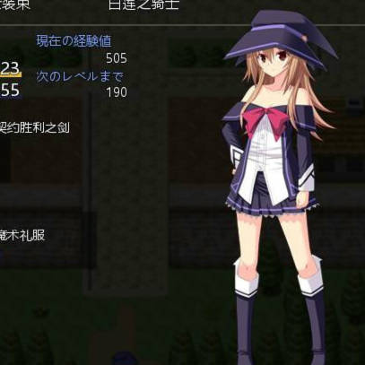 圣装女骑士