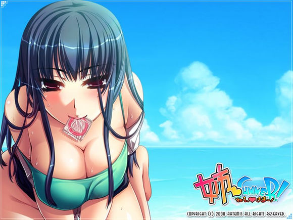 姉SUMMER!~ねえさま~!~ 游戏截图 3