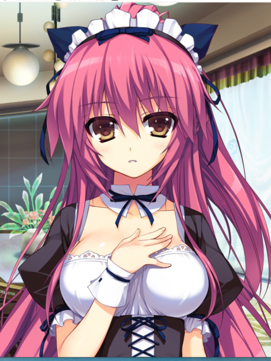 レミニセンスRe：Collect