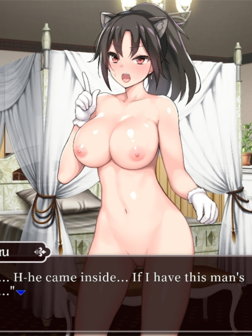SLG/官中无码丨帝国后宫 ImperialHarem ver1.31【20240228】
