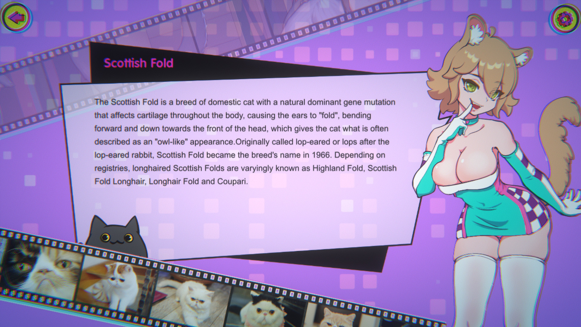 猫姑娘喵喵岛3 Miss Neko 3 Build.10093506 STEAM官中版+DLC【20221230】 游戏截图 3