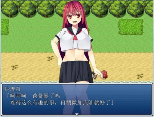 后宫无人岛 游戏截图 2