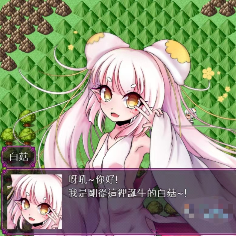 菇菇生态日志