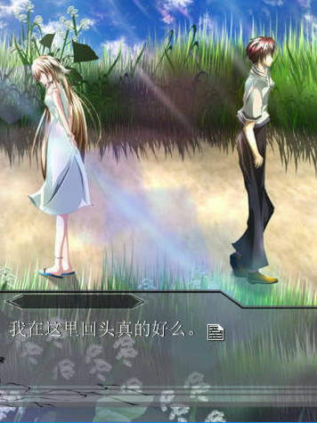 远去之日的花