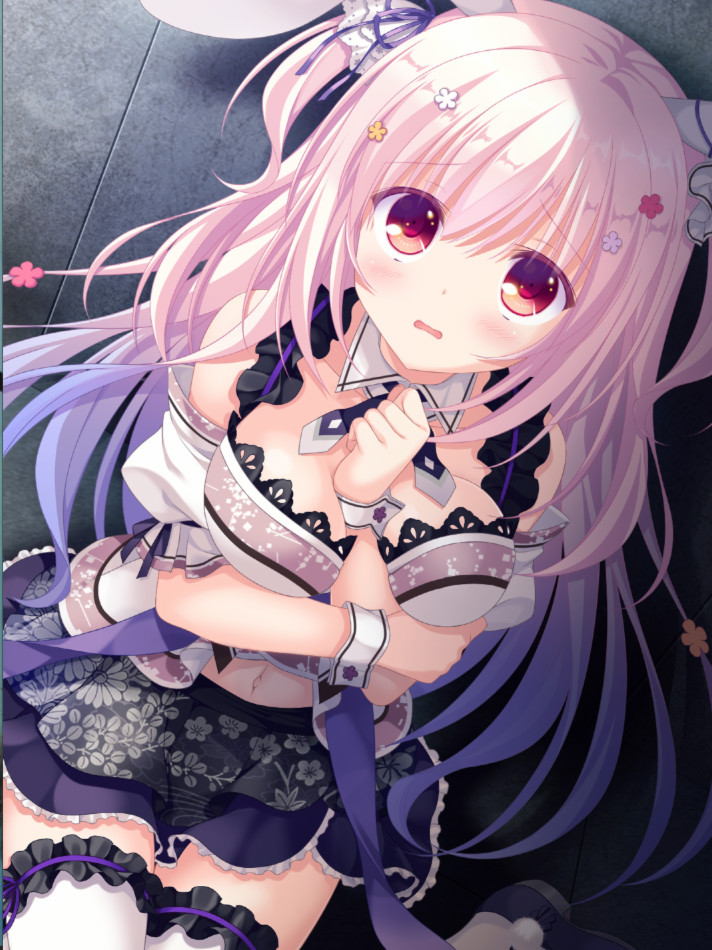 NEKO-NIN exHeart 2