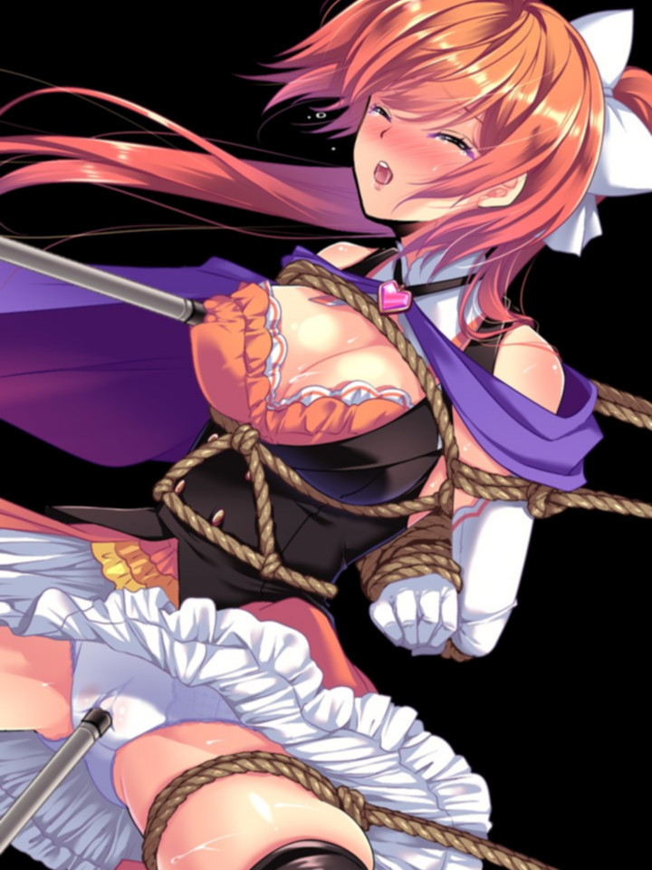RPG/汉化丨快盗闪姬圣爱丽丝/快盗閃姫セイントアリス Ver1.0 AI汉化体验版【20251117】
