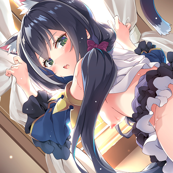 [SLG日文PC]麻将连结 ま～じゃんコネクト! 麻将CONNECT! v2.24【20260818】