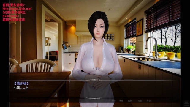 好色小姨4 游戏截图 3